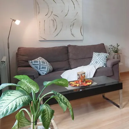 Vive Apartment